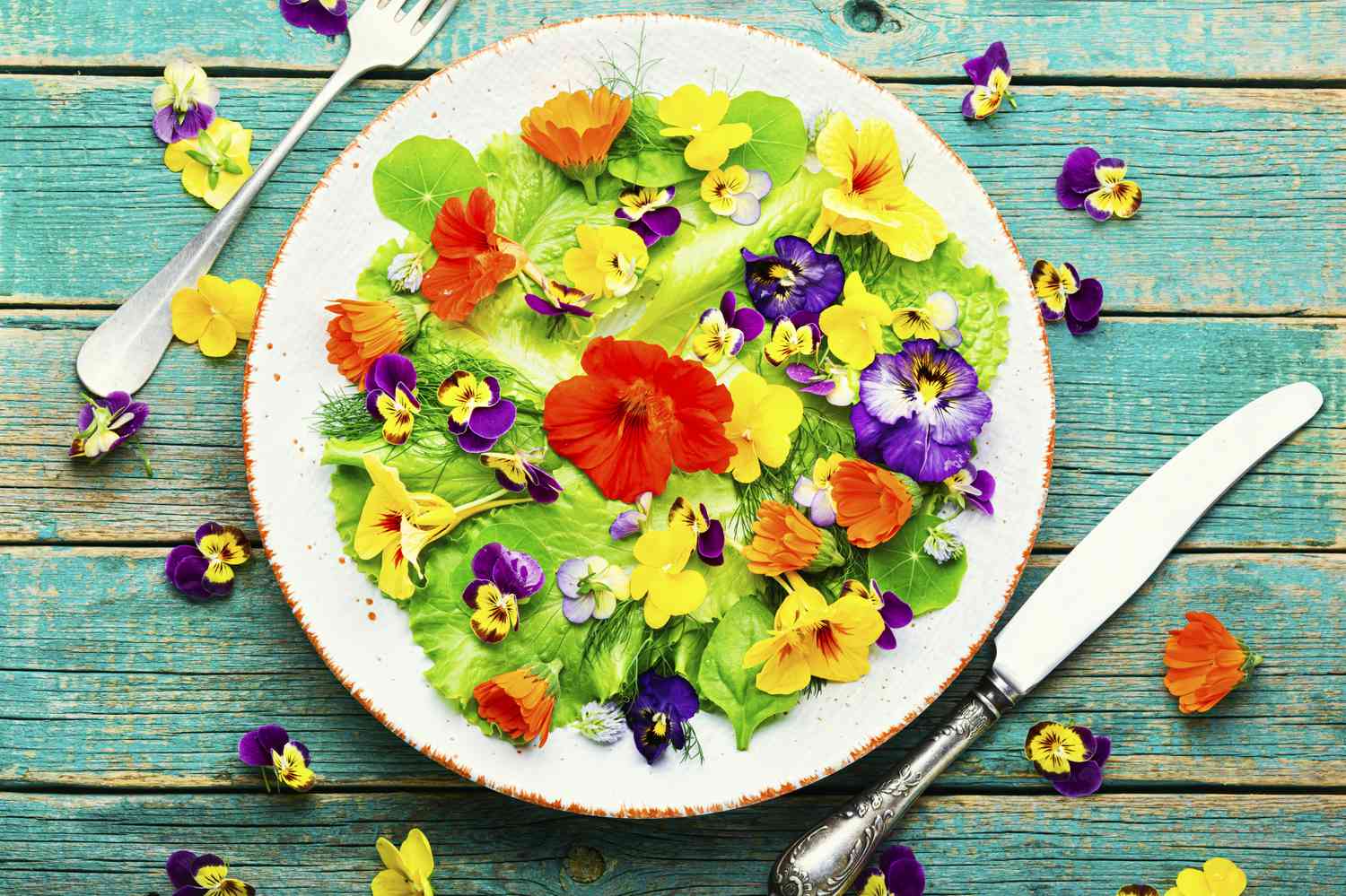 edible-flowers-GettyImages-1323288202