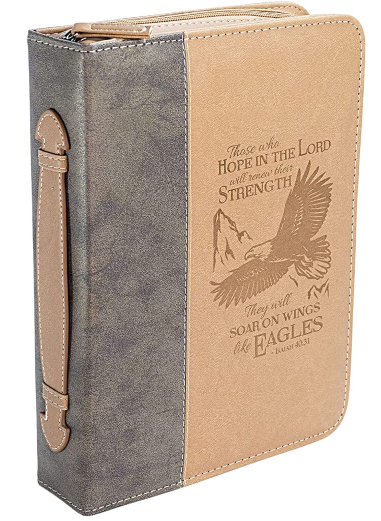 Divinity Boutique Bible Case for Men and Boys.
