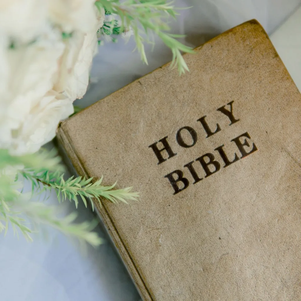 Should I Read the Bible from Beginning to End?