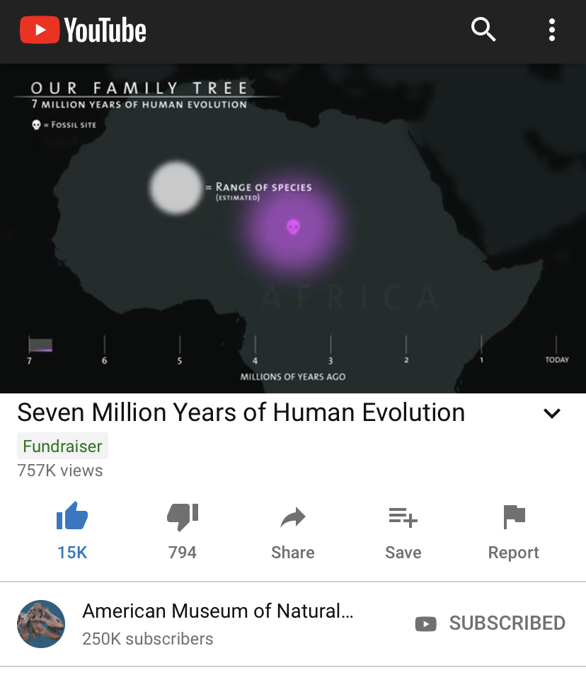 039C7968-B9C1-4321-B43B-A4287DE77362.jpeg