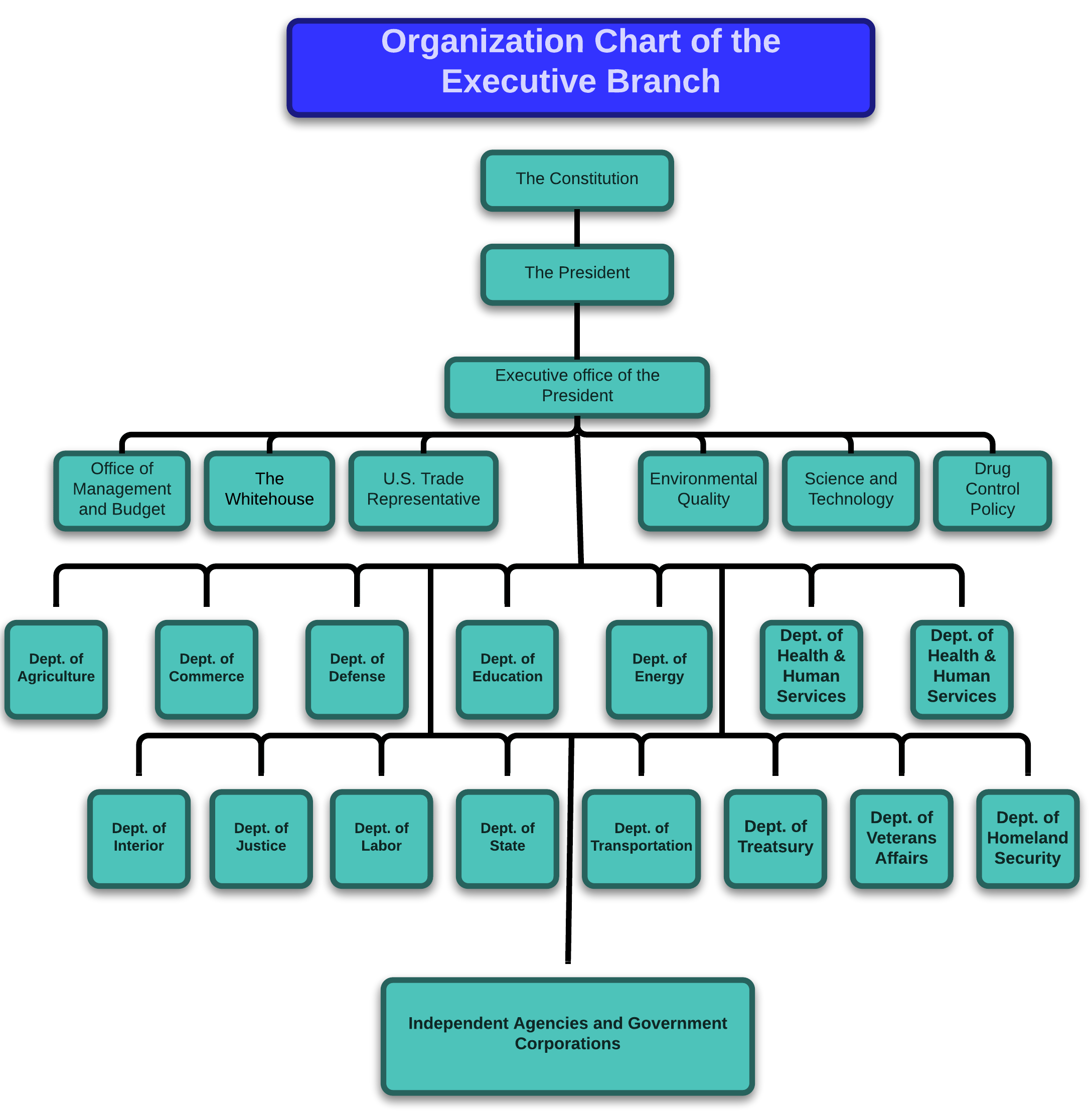 14297460609705393-575936-org_chart_executive_branch.png