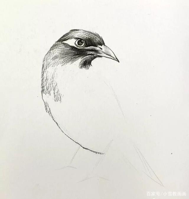 1705312220945.jpeg