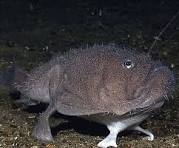 1710452719495.jpeg