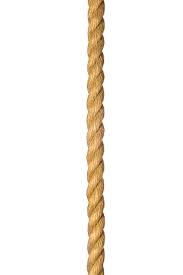 1710603922702.jpeg