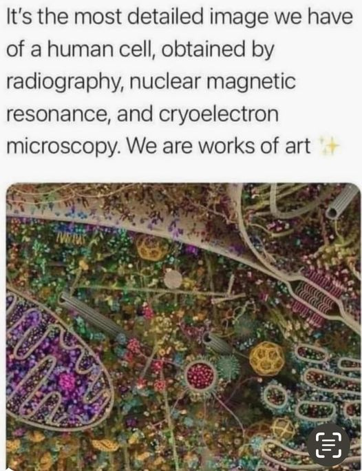 1722479980975.png