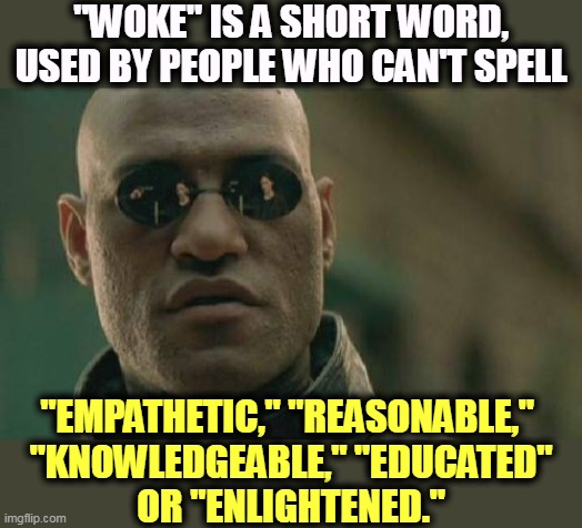 1723164489179.jpeg