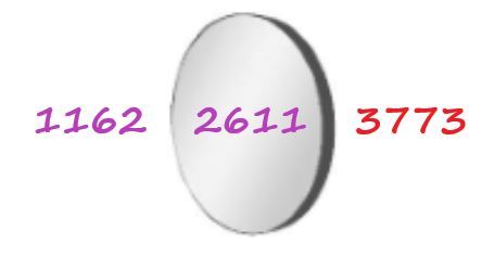 1734804577041.jpeg