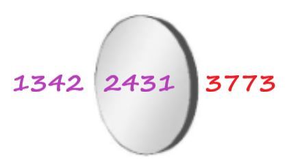 1734804687817.jpeg