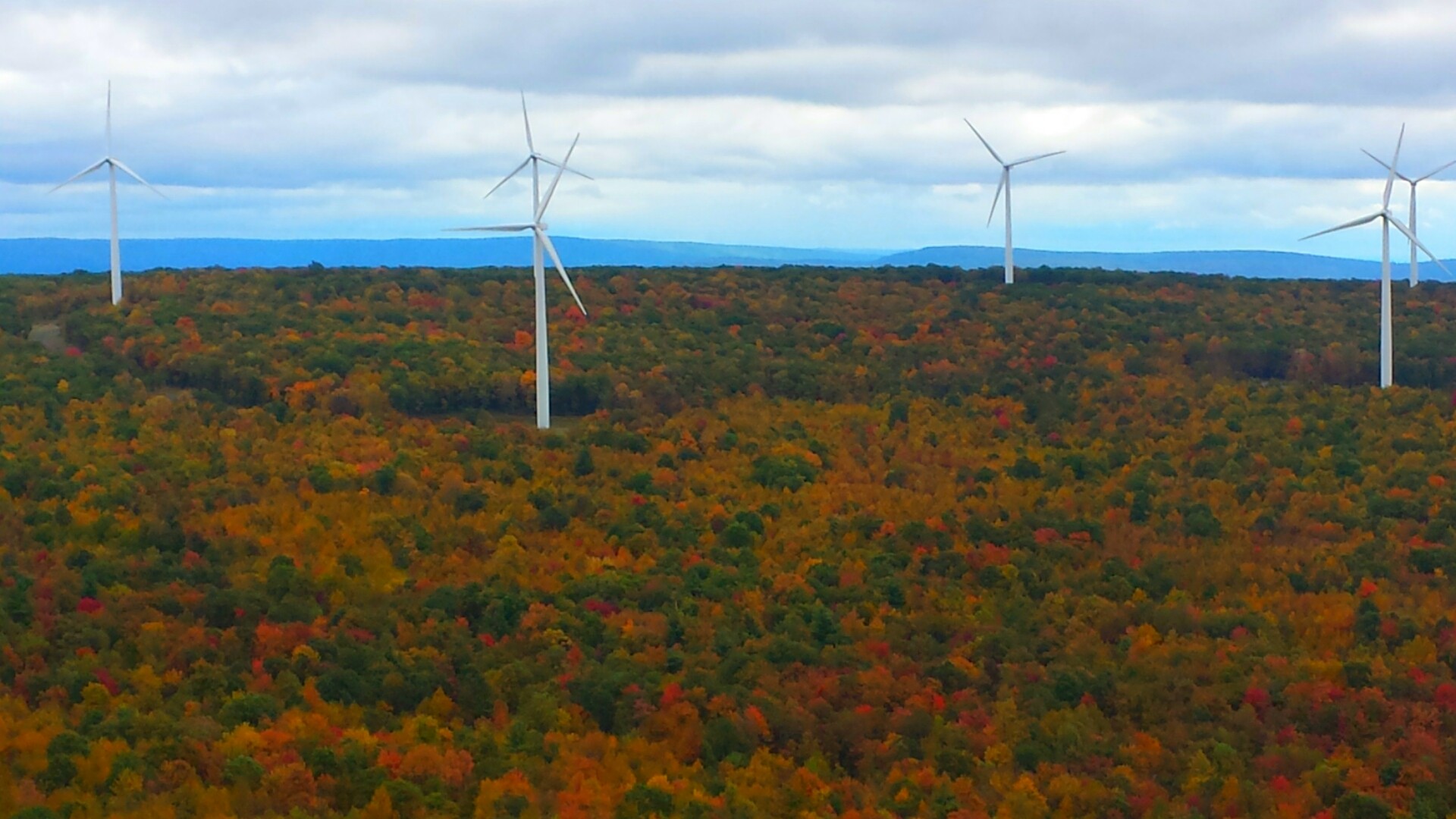 2015-10-03 13.57.06.jpg