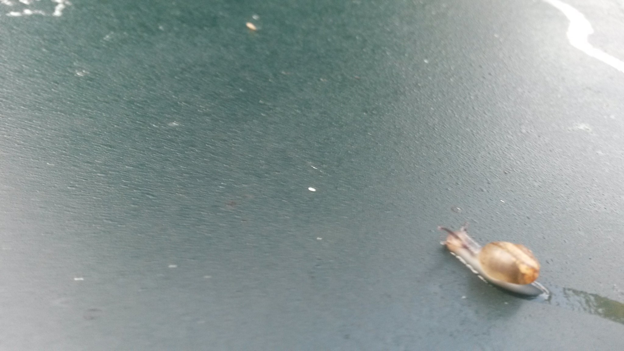20170814_071113.jpg