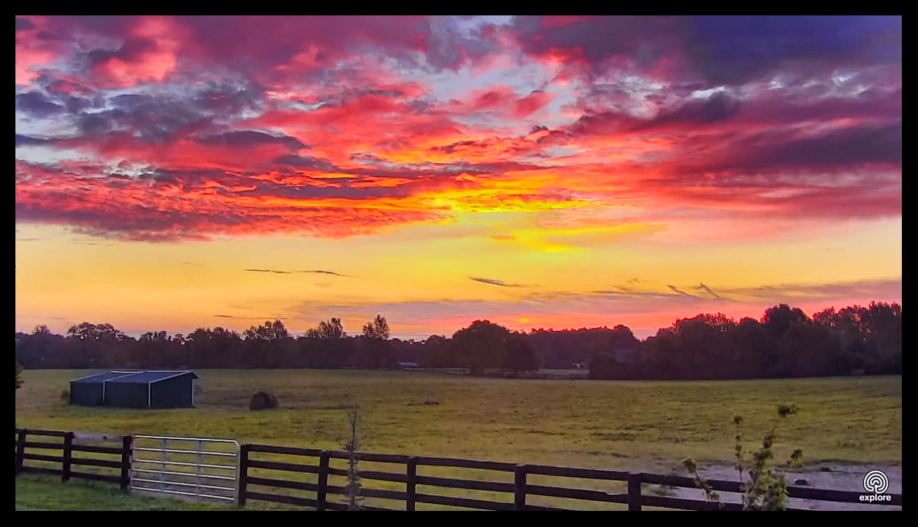 2018-09-06 07_37_19-Horse Cam - live from Kentucky Equine Humane Center _ Explore.org.jpg