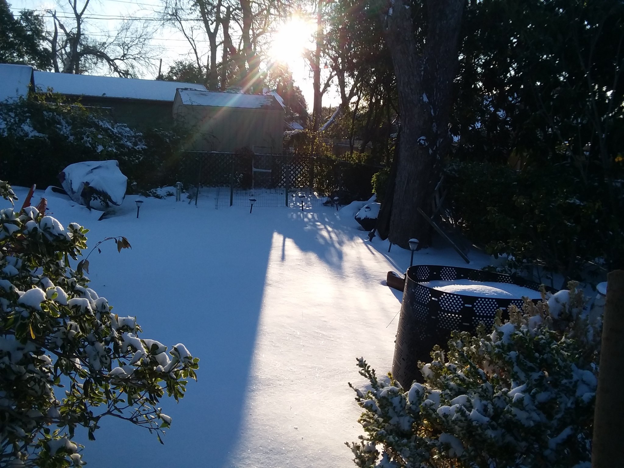 20210215_080445.jpg