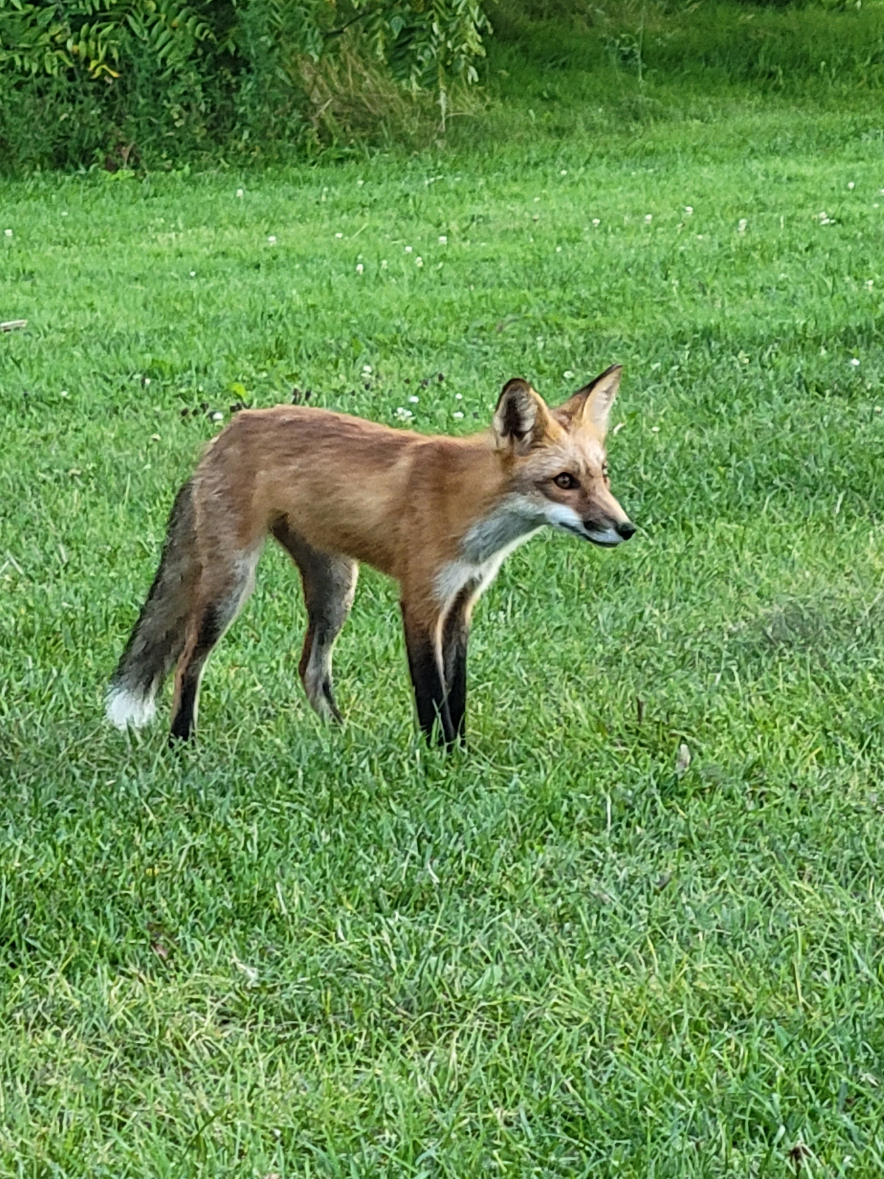 20230819_193439.jpg