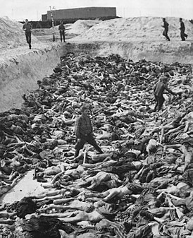 275px-Mass_Grave_3_at_Bergen-Belsen_concentration_camp.jpg