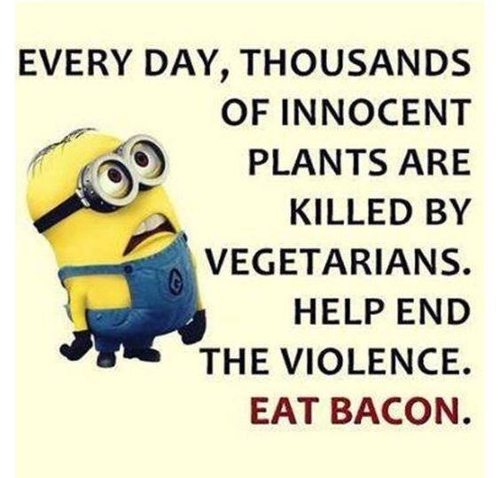 538C4C86-E1FC-4079-9941-CF6D490A0FC6.jpeg