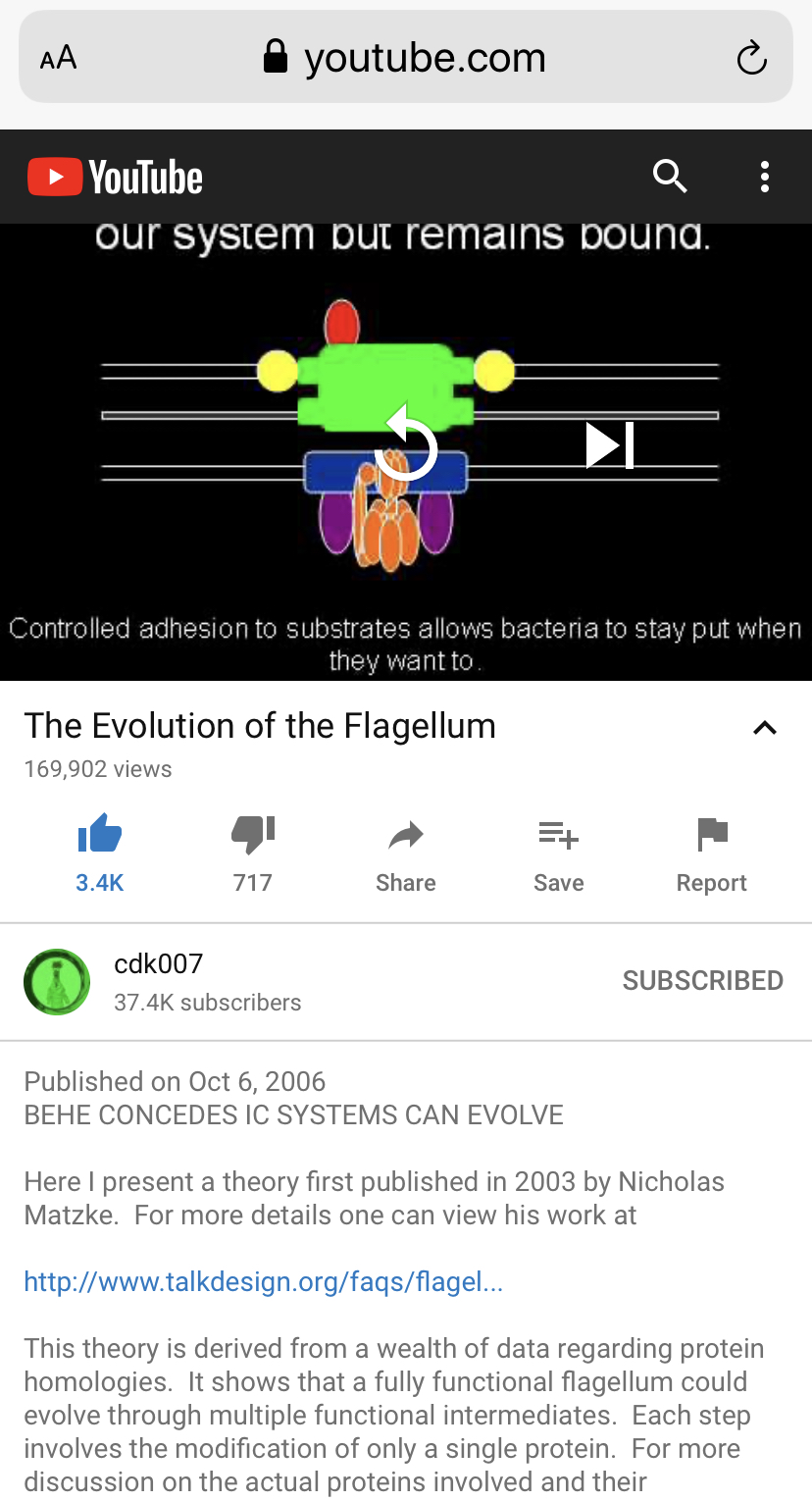 7D683D21-6E45-4E02-B9C4-87A47AF4C3DE.jpeg
