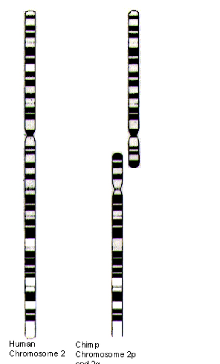 96AC28C3-1850-4BC0-96CE-9E0146F8746F.jpeg