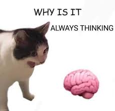a always sleeping.jpg