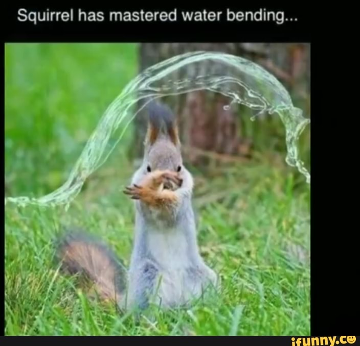 a squirral.png