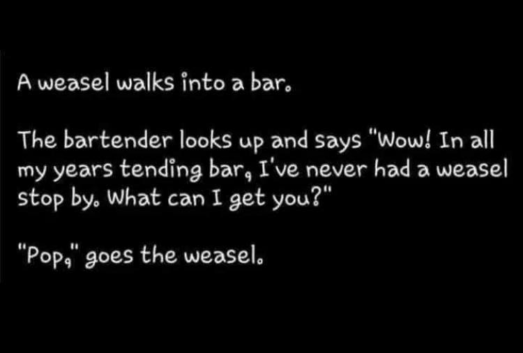 a weasle walks bar.jpg