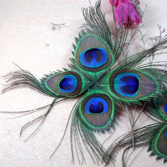 a1b8a2bcff7f9f590ae855b9b9c29b8b--peacock-feathers-headdress.jpg