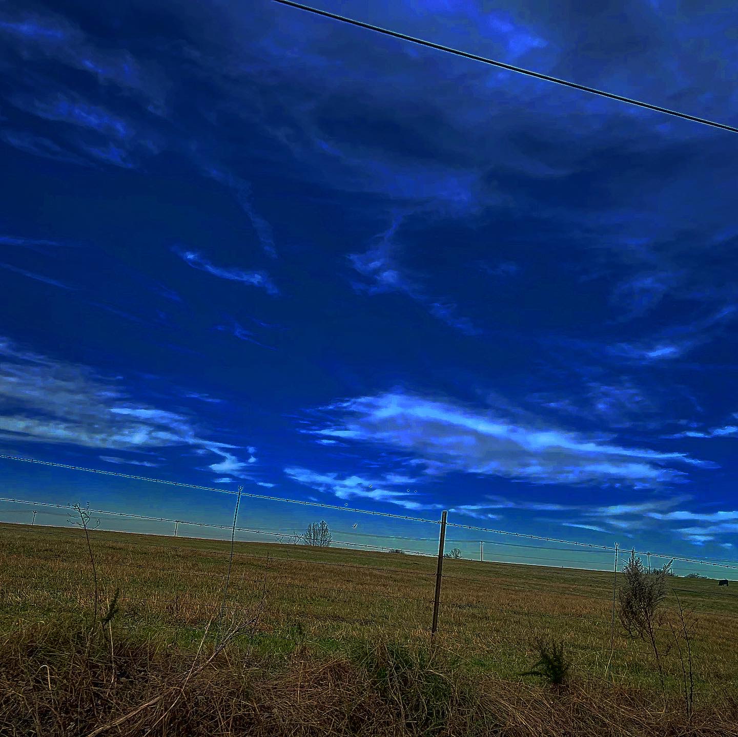 A6CD6BDE-7E18-4C9F-A89C-958A23FA2636.jpeg