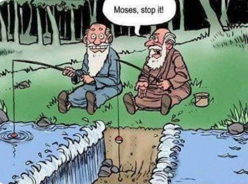 aa moses.PNG