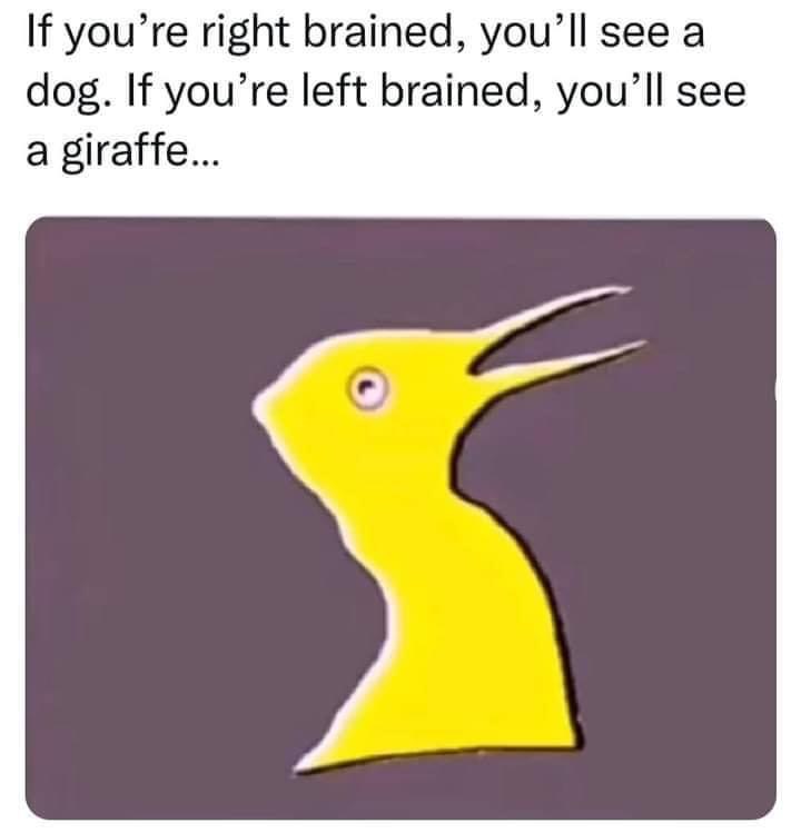 AF8E698C-1B99-4DA3-8836-17EC684C6BBD.jpeg