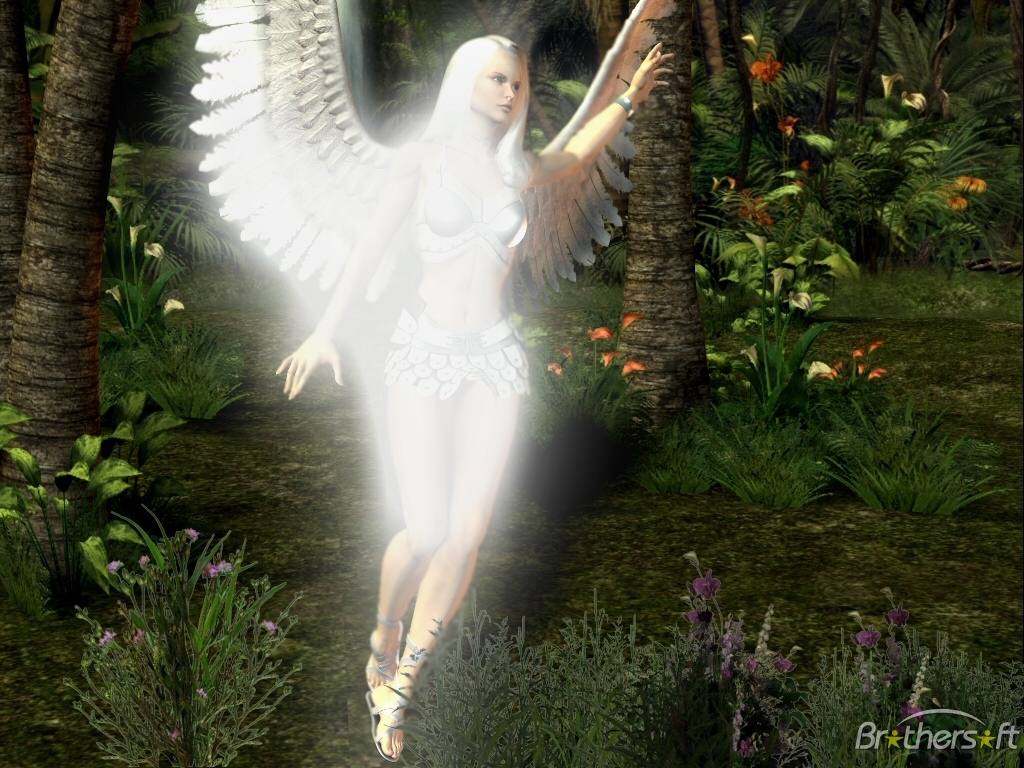 angel-angels-7450397.jpg