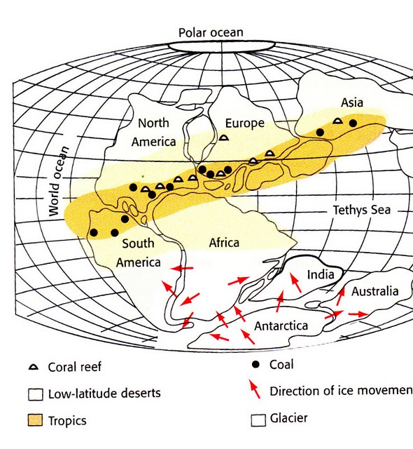 antarctic fit coal and reefs.jpeg