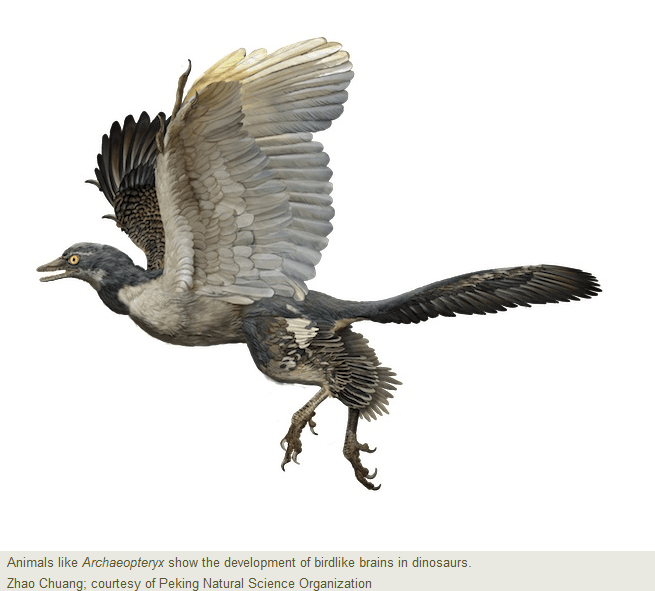 Archaeopteryx.png