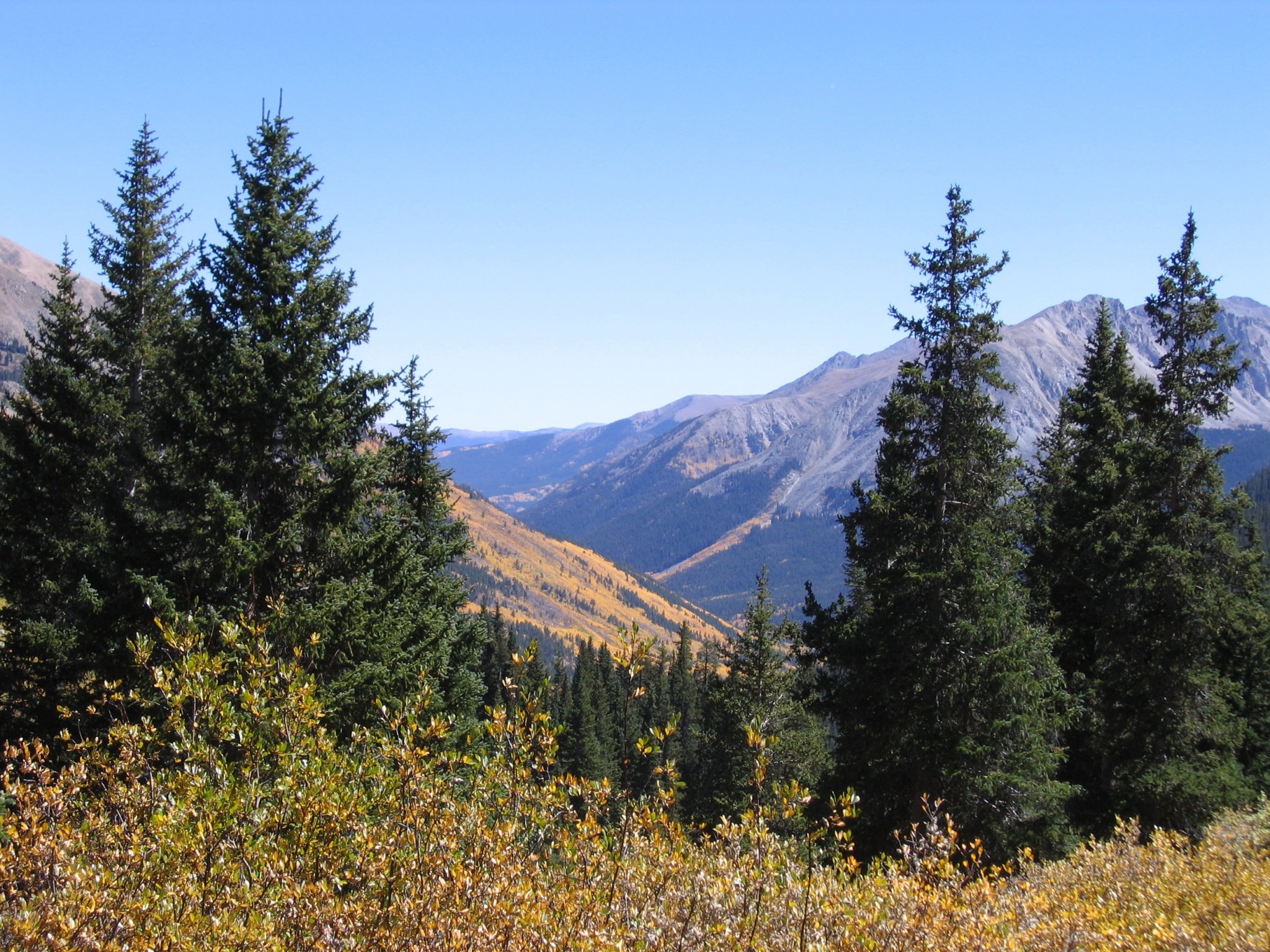 Autumn Colors 2.JPG