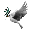 avatar[1].gif