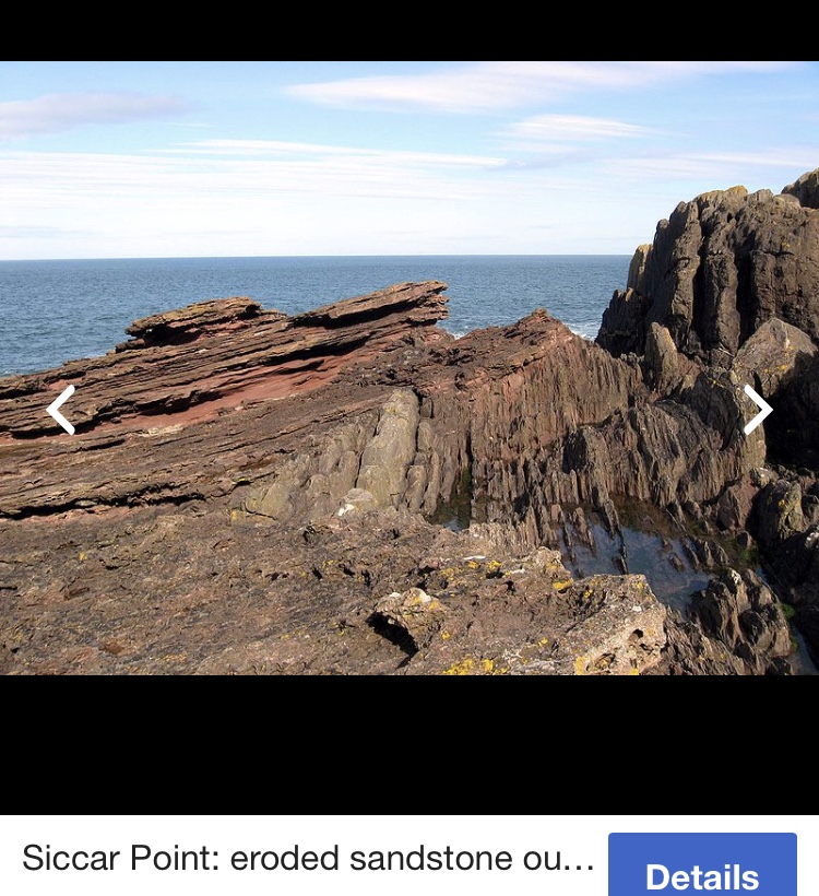B3B91FE3-1F77-40AB-AB27-8539BB82A7D7.jpeg