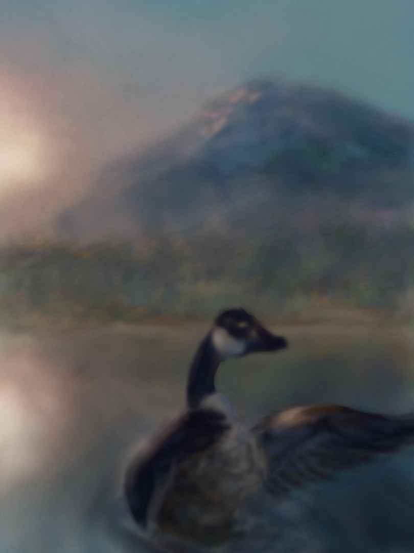 Bath Time.png
