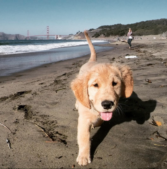 Beach bum.png