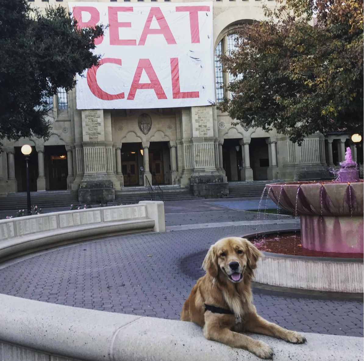 beat cal.png