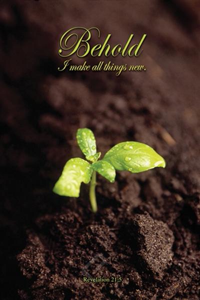 behold-seedling-revelation-biblical-inspirational-poster-2400-0012_grande (1).jpg