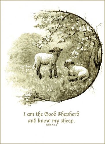Bible Quote Good Shepherd.jpg