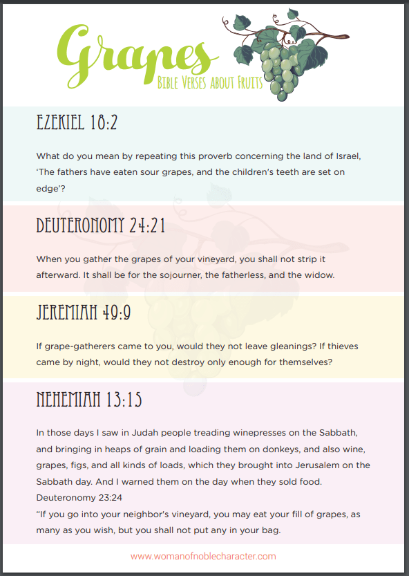 Bible-verses-about-grapes.png