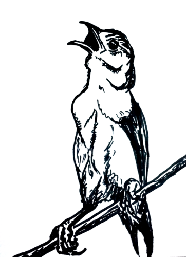 birdbranchres.png