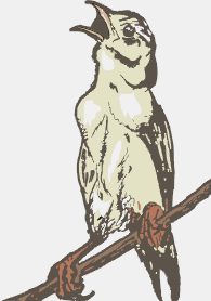 birdbranchvector.png