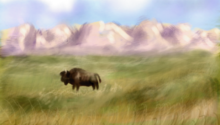 bison revised small.png