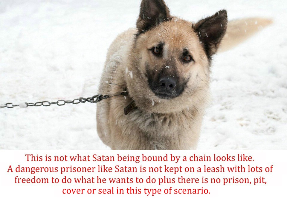 bound with a chain dog.jpg