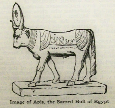 bull of egypt .jpg