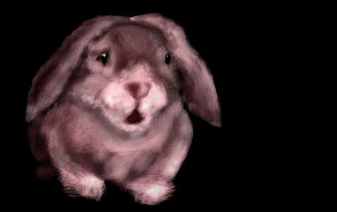 bunny sm.PNG