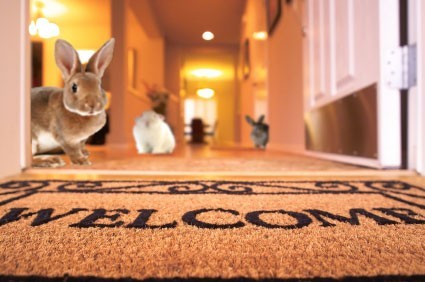 Bunny welcome mat.jpg