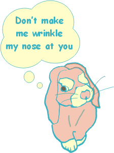 bunny2.PNG