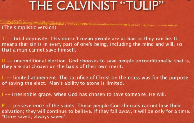 calvinism.PNG