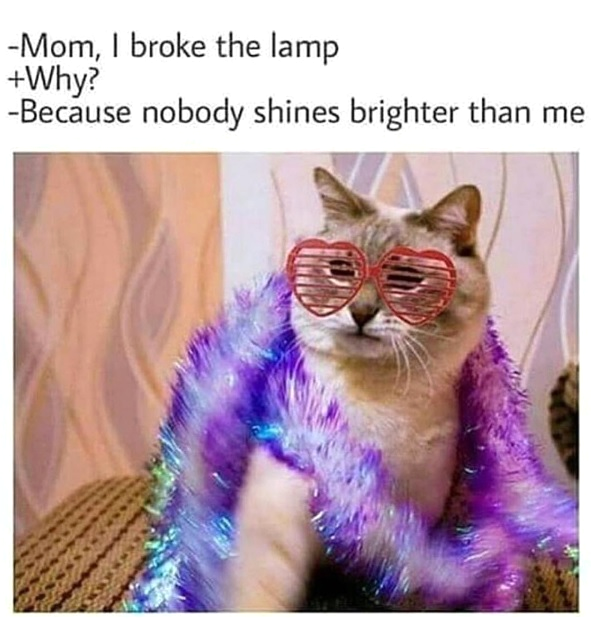 cat-broke-lamp.png